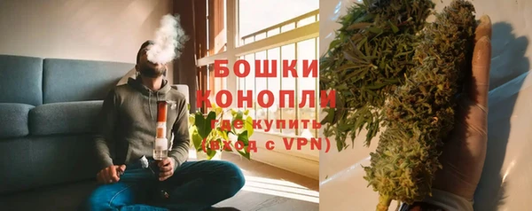 винт Дмитров