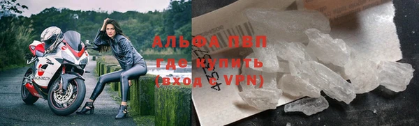 винт Дмитров