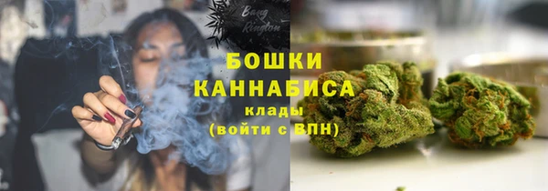 винт Дмитров