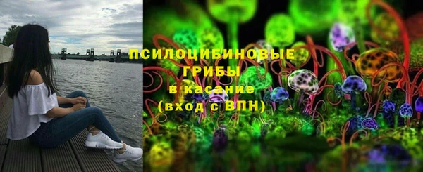 винт Дмитров