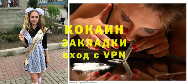 винт Дмитров
