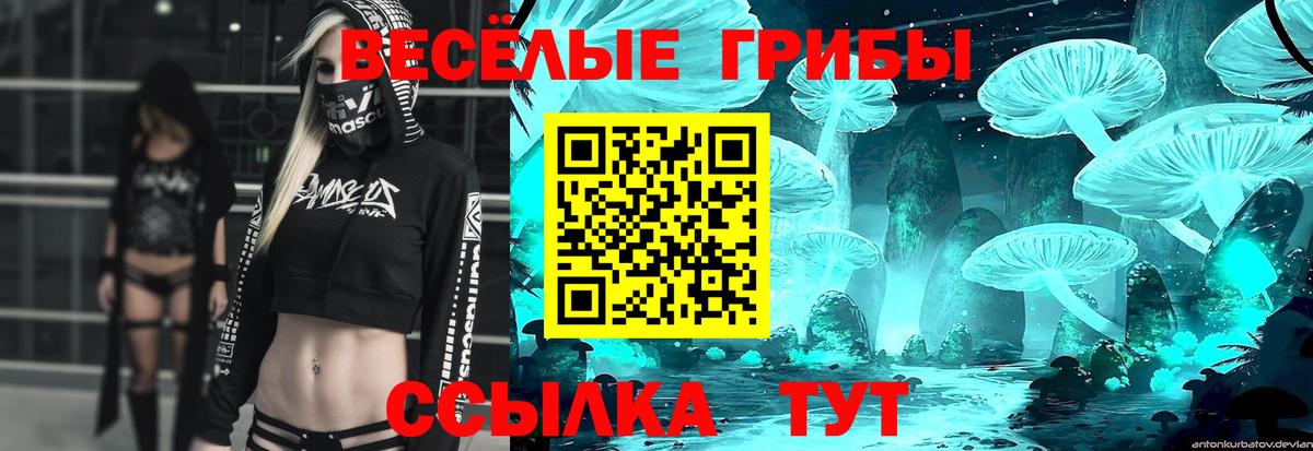 Псилоцибиновые грибы GOLDEN TEACHER Донецк